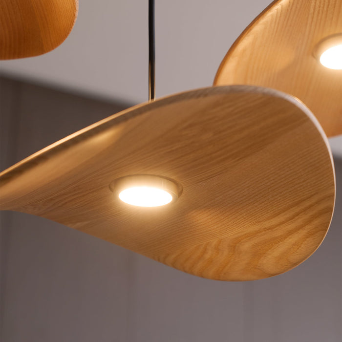 Empty Leaf Chandelier