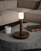Fire Stick Table Lamp Vakkerlight