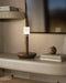 Fire Stick Table Lamp Vakkerlight