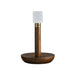 Fire Stick Table Lamp Vakkerlight