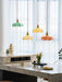 French Flower Pendant Light Vakkerlight