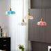 French Flower Pendant Light Vakkerlight