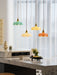 French Flower Pendant Light Vakkerlight