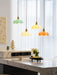 French Flower Pendant Light Vakkerlight