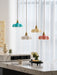 French Flower Pendant Light Vakkerlight