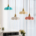 French Flower Pendant Light Vakkerlight