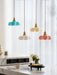 French Flower Pendant Light Vakkerlight