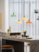 French Flower Pendant Light Vakkerlight