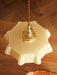 French Flower Pendant Light Vakkerlight