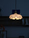 French Flower Pendant Light Vakkerlight