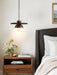 Gaia Orbit Pendant Lamp Vakkerlight