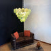 Green Glass Disc Chandelier Vakkerlight