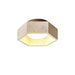 Hexa Core Ceiling Light Vakkerlight
