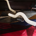 Infinity Alabaster Pendant Lamp Vakkerlight