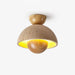 Inverted Ceiling Lamp Vakkerlight