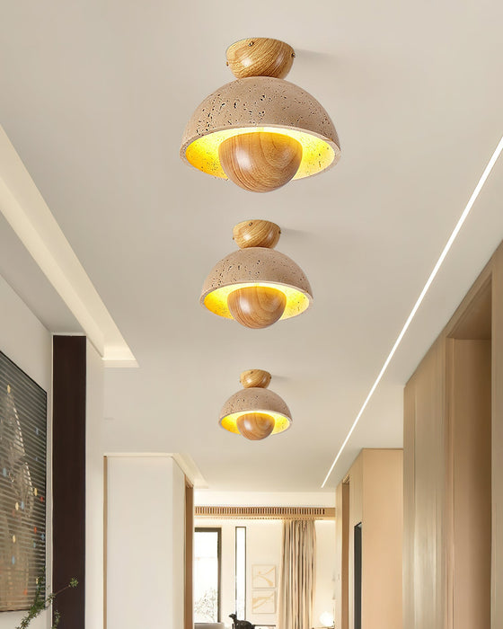 Inverted Ceiling Lamp Vakkerlight