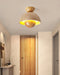 Inverted Ceiling Lamp Vakkerlight