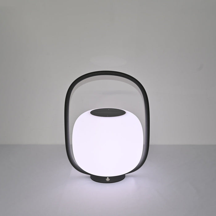 Lunava Lantern Outdoor Lamp Vakkerlight