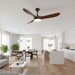 Maverick 42"/52" Ceiling Fan Light Vakkerlight