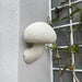 Mushroom Resin Plug-in Wall Lamp Vakkerlight