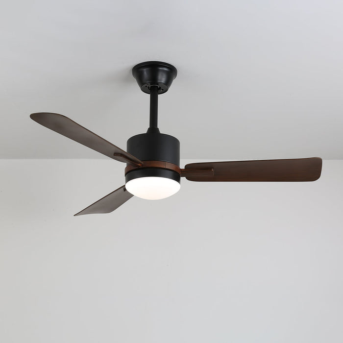 Nimora Ceiling Fan Light Vakkerlight