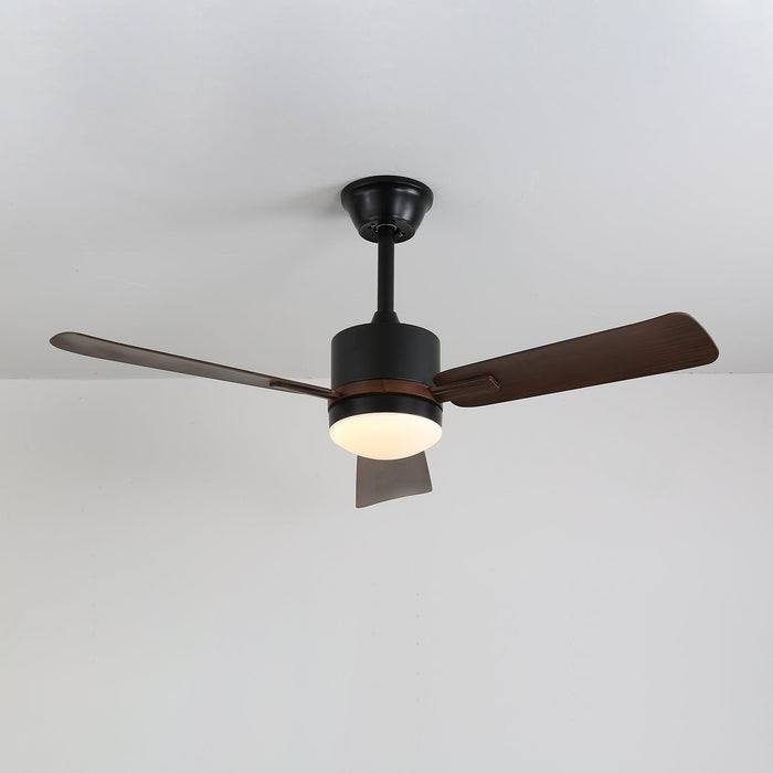 Nimora Ceiling Fan Light Vakkerlight
