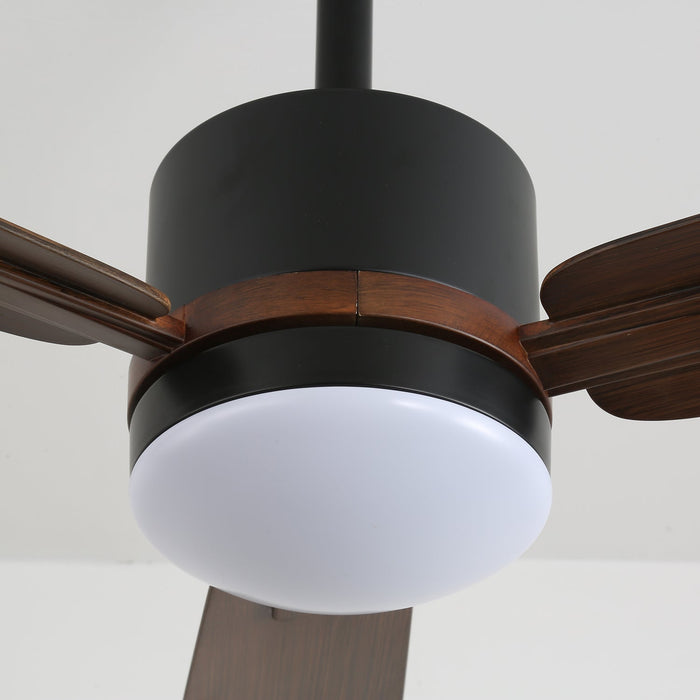 Nimora Ceiling Fan Light Vakkerlight