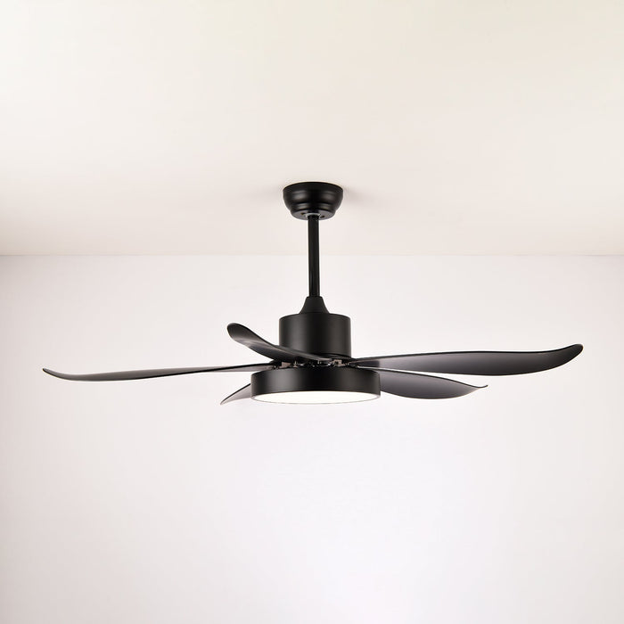Noctura Glide Ceiling Fan Light Vakkerlight