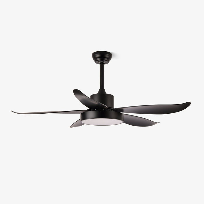 Noctura Glide Ceiling Fan Light Vakkerlight