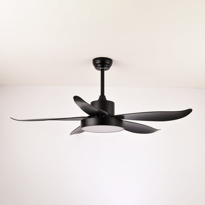 Noctura Glide Ceiling Fan Light Vakkerlight