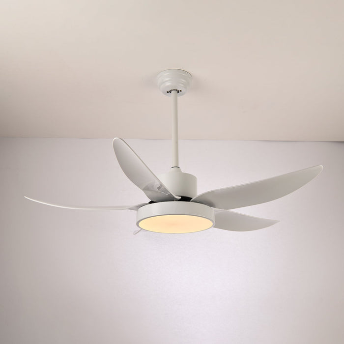 Noctura Glide Ceiling Fan Light Vakkerlight