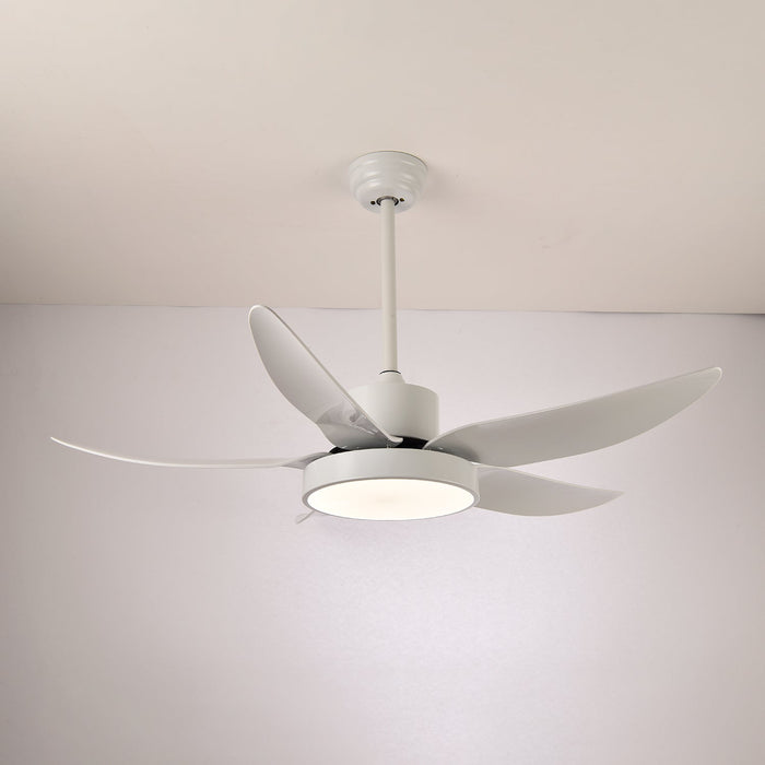 Noctura Glide Ceiling Fan Light Vakkerlight