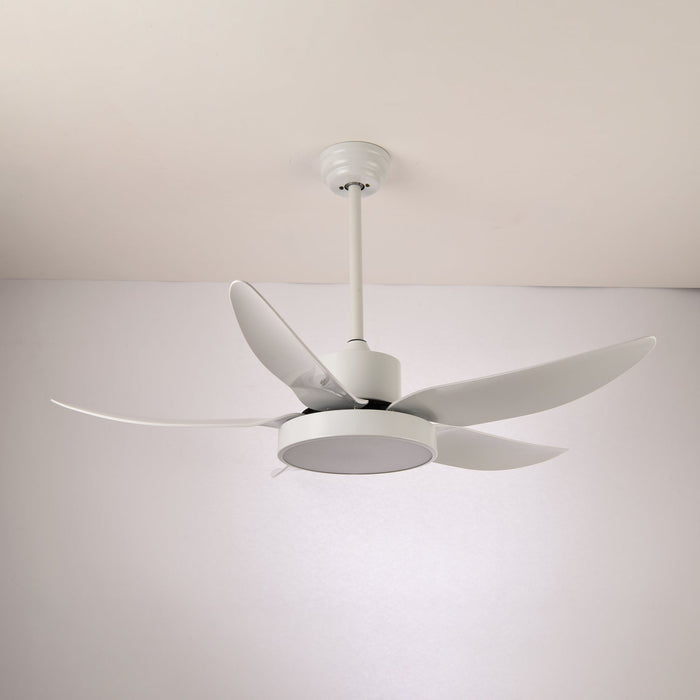Noctura Glide Ceiling Fan Light Vakkerlight