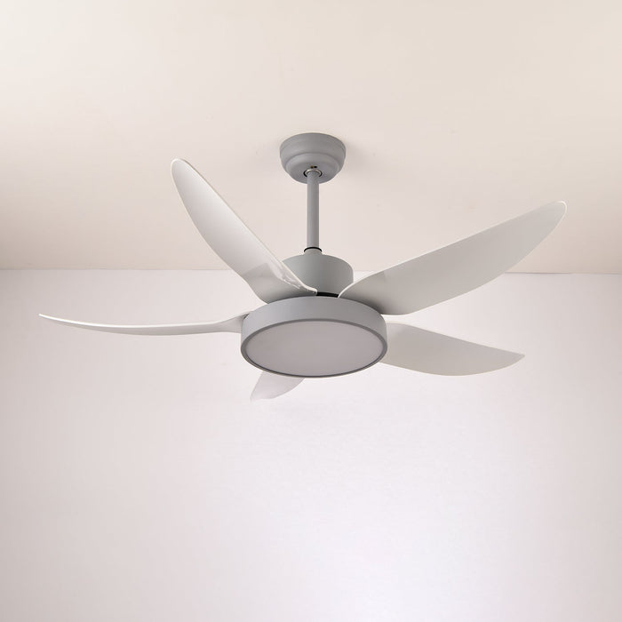 Noctura Glide Ceiling Fan Light Vakkerlight