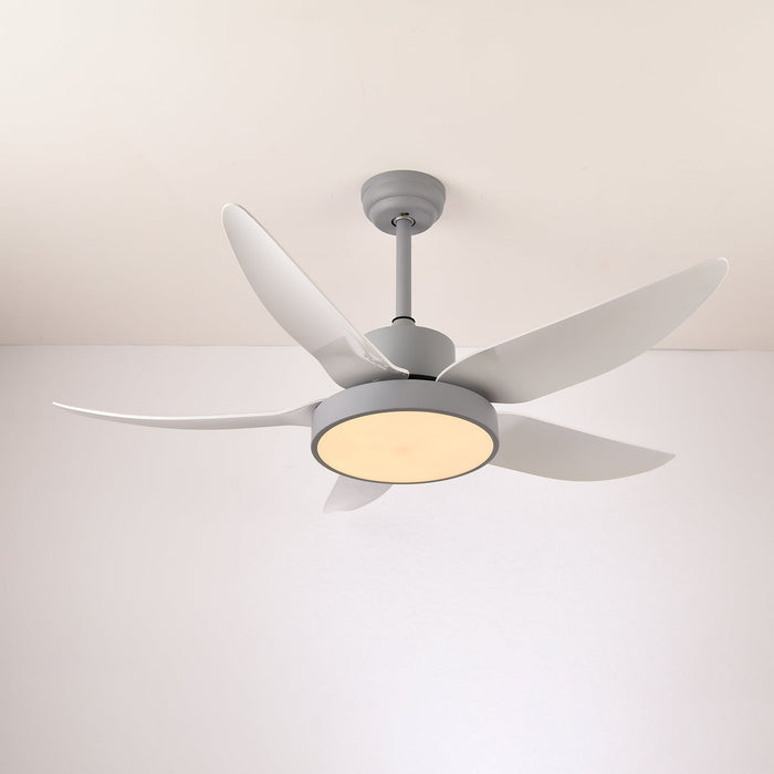 Noctura Glide Ceiling Fan Light Vakkerlight