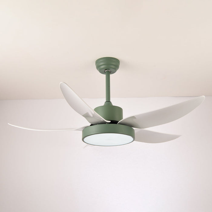 Noctura Glide Ceiling Fan Light Vakkerlight