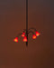 Petalia Blossom Chandelier Vakkerlight