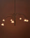 Petalia Blossom Chandelier Vakkerlight