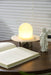 Petrified Alabaster Table Lamp Vakkerlight