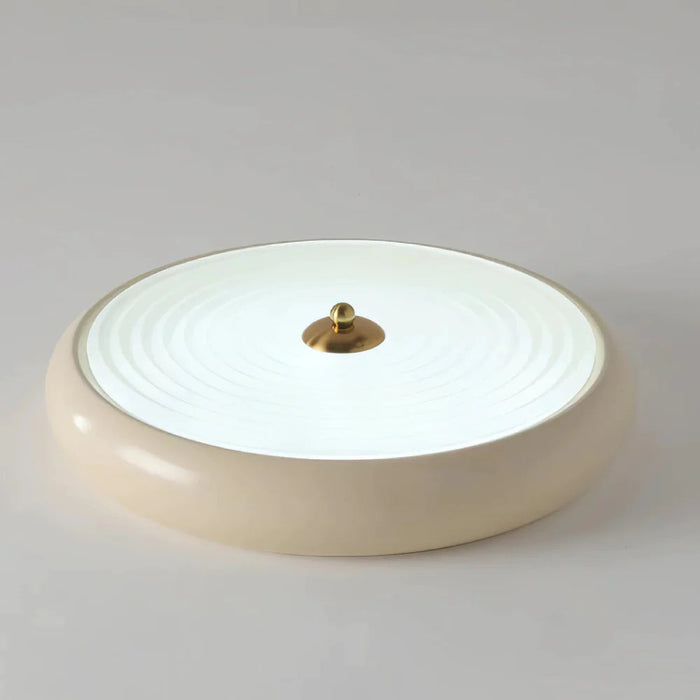 Retro Simple LED Ceiling Light