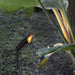 Shadow Pierce Ground Spike Light Vakkerlight