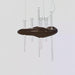 Skyward Thorn Chandelier Vakkerlight