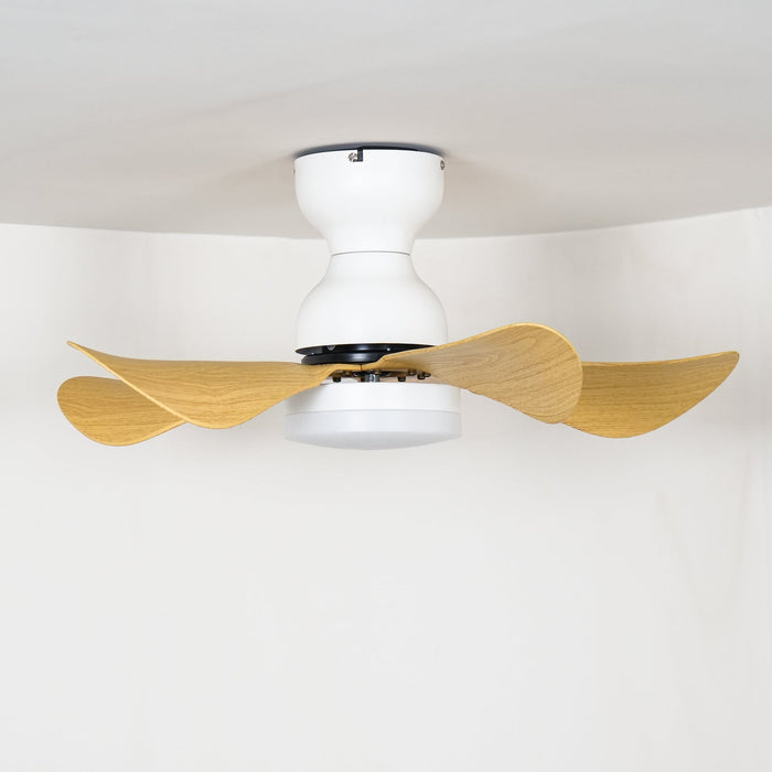 Small Arilia 29" Ceiling Fan Light Vakkerlight