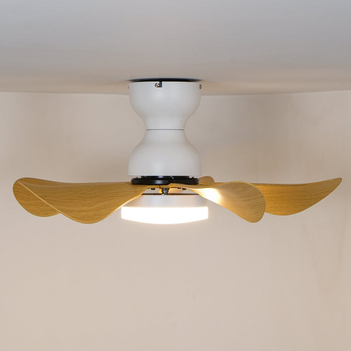 Small Arilia 29" Ceiling Fan Light Vakkerlight