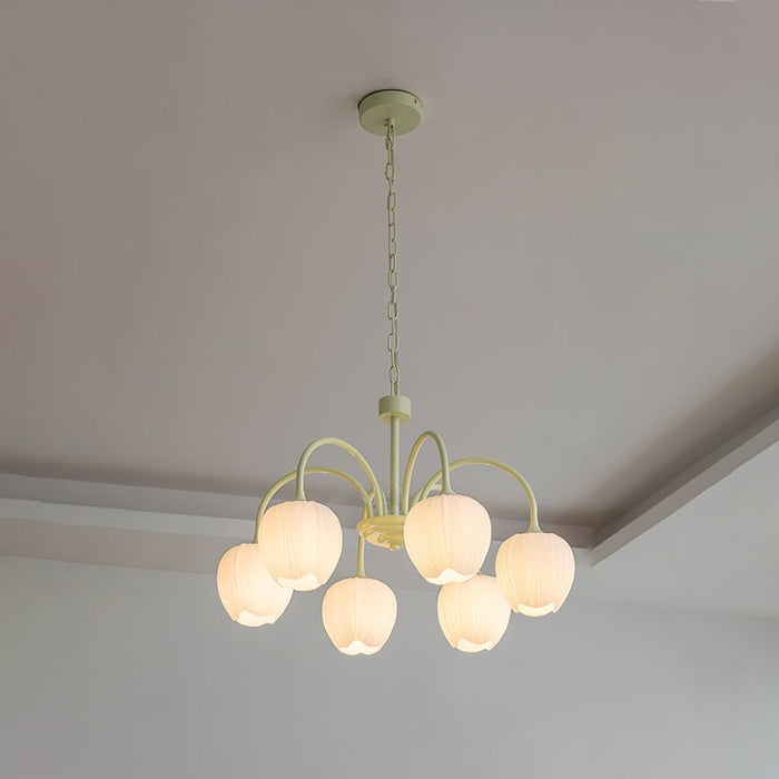 Tulip Matcha Chandelier Vakkerlight