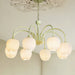 Tulip Matcha Chandelier Vakkerlight