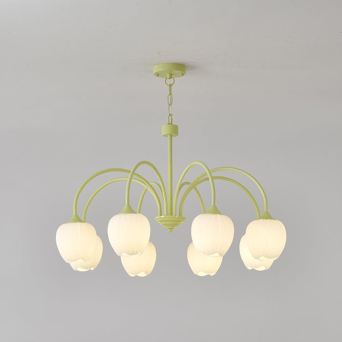 Tulip Matcha Chandelier Vakkerlight