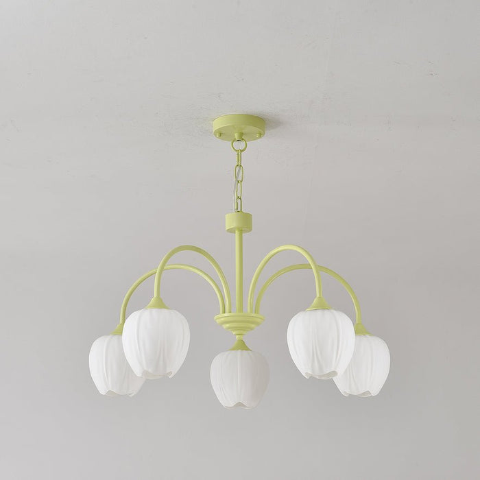 Tulip Matcha Chandelier Vakkerlight