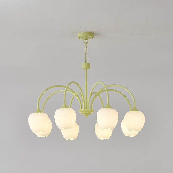 Tulip Matcha Chandelier Vakkerlight