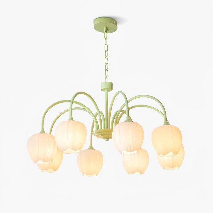 Tulip Matcha Chandelier Vakkerlight